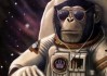 新澳门资料大全2024_ 61年前，美国将一只黑猩猩送入太空，但返回时发现了不对劲。
